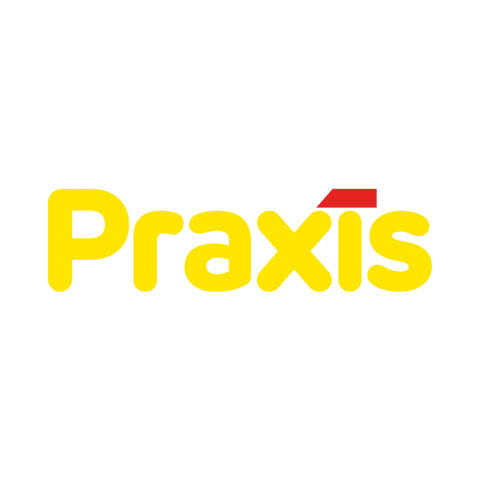 Praxis